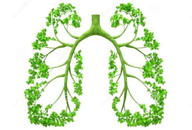 肺病预防针：接种率提升20%背后的健康收益