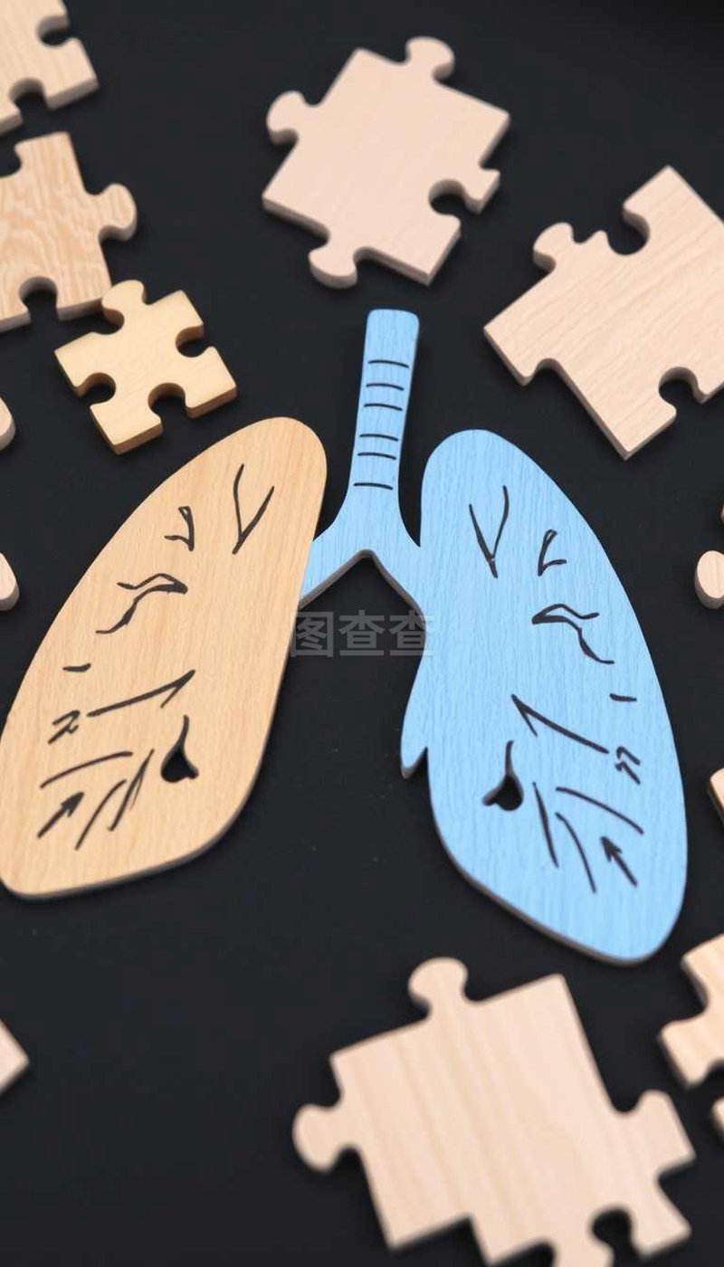 肺病预防：中医调养与西医防护的横向对比